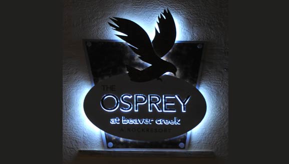 osprey-night